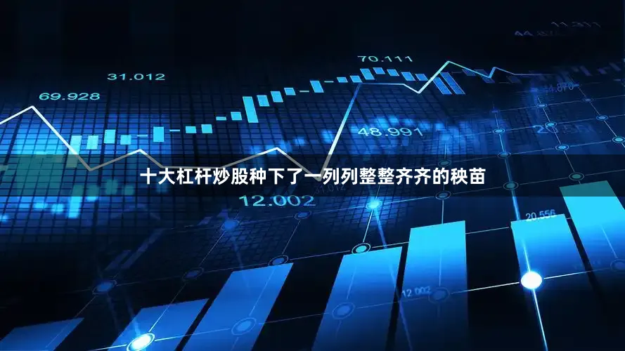 十大杠杆炒股种下了一列列整整齐齐的秧苗
