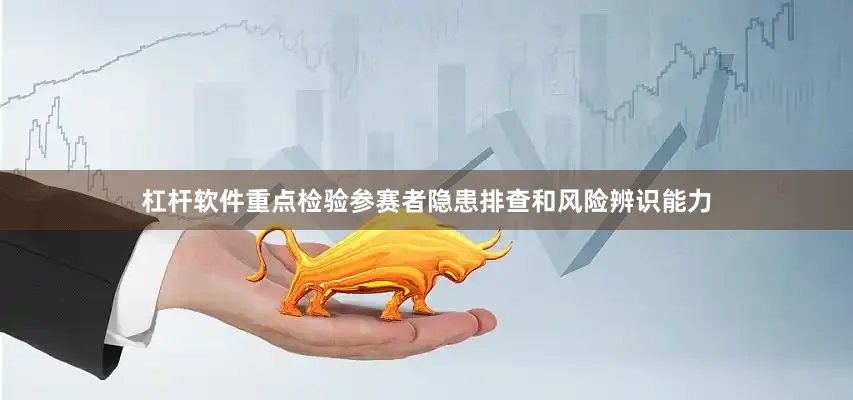 杠杆软件重点检验参赛者隐患排查和风险辨识能力