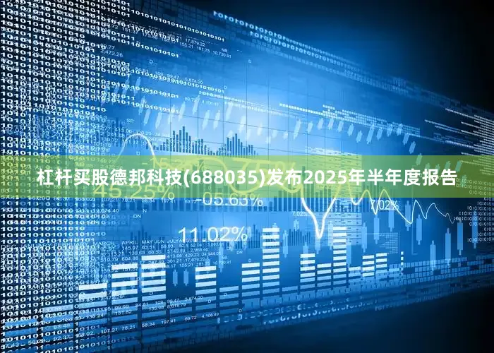 杠杆买股德邦科技(688035)发布2025年半年度报告