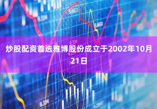炒股配资首选雅博股份成立于2002年10月21日